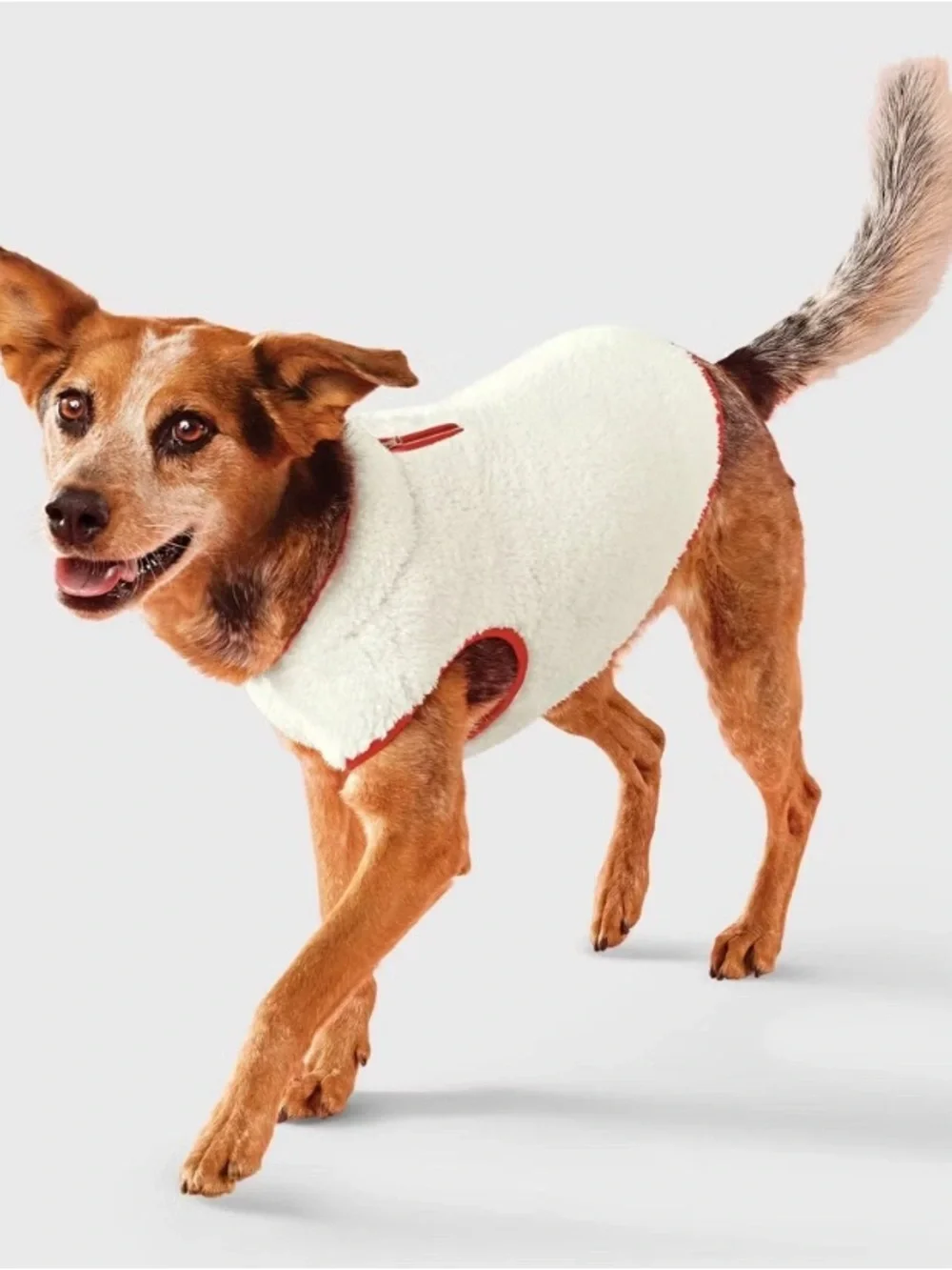NEW-Small Sherpa Pet Vest Faux Shearling Zipper with Red Trim Fleece Dog Vest
